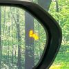 toyota c-hr 2017 CFJ1695136 image 7