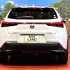 lexus ux 2019 CFJ1835723 image 15