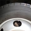 mitsubishi-fuso canter 2017 GOO_NET_EXCHANGE_0707574A30250711W002 image 25