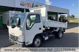 isuzu elf-truck 2019 CFJ1795946