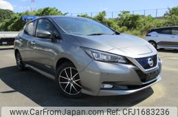 nissan leaf 2019 CFJ1683236