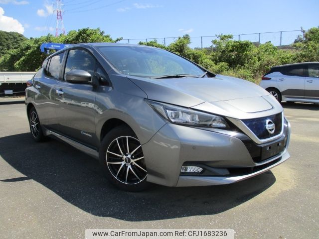 nissan leaf 2019 CFJ1683236 image 1