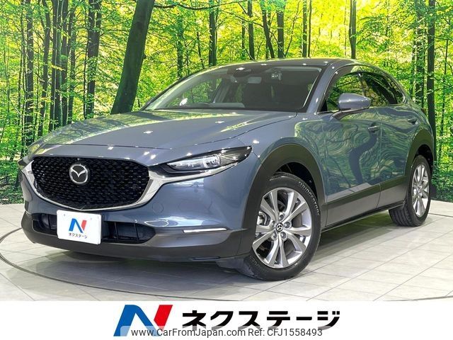 mazda cx-3 2019 CFJ1558493 image 1