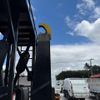 nissan diesel-ud-quon 2007 CFJ1666698 image 20