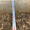 mitsubishi-fuso canter 2017 CFJ1428127 image 35