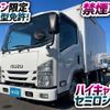 isuzu elf-truck 2019 GOO_NET_EXCHANGE_0700644A30250206W001 image 2