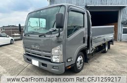 isuzu elf-truck 2009 GOO_NET_EXCHANGE_0208406A30250529W002