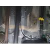 toyota roomy 2019 -TOYOTA--Roomy DBA-M910A--M910A-0068196---TOYOTA--Roomy DBA-M910A--M910A-0068196- image 5