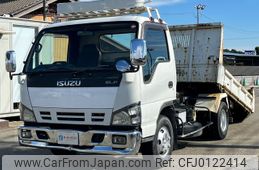 isuzu elf-truck 2006 GOO_NET_EXCHANGE_0404111A30240820W001