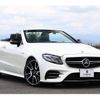 mercedes-benz e-class 2019 quick_quick_238461_WDD2384612F096431 image 11