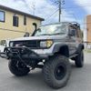 toyota land-cruiser-prado 1994 CFJ1608437 image 1