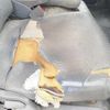mitsubishi-fuso canter 2013 -MITSUBISHI 【名古屋 430つ901】--Canter FBA50-520492---MITSUBISHI 【名古屋 430つ901】--Canter FBA50-520492- image 10