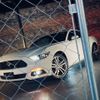 ford mustang 2018 -FORD--Ford Mustang 不明--1FA6P8TH1H5323645---FORD--Ford Mustang 不明--1FA6P8TH1H5323645- image 20