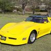 chevrolet corvette 1988 quick_quick_humei_4281490 image 11