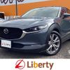 mazda cx-3 2019 quick_quick_DMEP_DMEP-104631 image 1