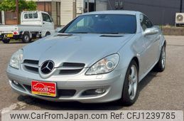 mercedes-benz slk-class 2005 quick_quick_CBA-171456_WDB1714562F048568