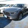 mazda cx-3 2023 -MAZDA--CX-30 5AA-DMEJ3P--DMEJ3P-107507---MAZDA--CX-30 5AA-DMEJ3P--DMEJ3P-107507- image 1