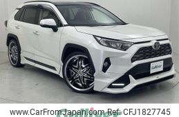 toyota rav4 2019 CFJ1827745