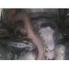 nissan x-trail 2011 -NISSAN 【金沢 300と8009】--X-Trail DNT31-206933---NISSAN 【金沢 300と8009】--X-Trail DNT31-206933- image 14