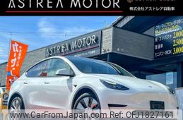 tesla-motors tesla-others 2022 CFJ1827161