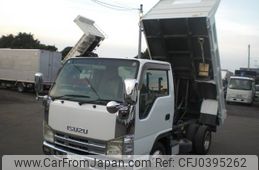 isuzu elf-truck 2010 GOO_NET_EXCHANGE_0403152A30241031W001