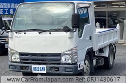 isuzu elf-truck 2011 quick_quick_SKG-NKR85AN_NKR85-7021804