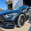 mercedes-benz cls-class 2018 quick_quick_LDA-257314_WDD2573142A018470 image 4