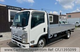 isuzu elf-truck 2010 GOO_NET_EXCHANGE_0300539A30250705W001