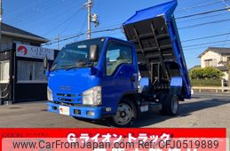 isuzu elf-truck 2019 GOO_NET_EXCHANGE_0730189A30241203W001