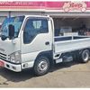 isuzu elf-truck 2019 GOO_NET_EXCHANGE_0208330A30250604W001 image 2
