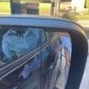 jeep renegade 2020 CFJ1668466 image 10