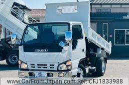 isuzu elf-truck 2006 CFJ1833988