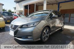 nissan leaf 2018 GOO_JP_700080397030240424001