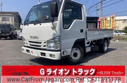 isuzu elf-truck 2019 GOO_NET_EXCHANGE_0730189A30250708W001