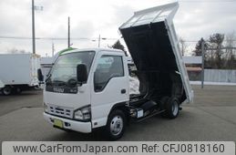 isuzu elf-truck 2006 GOO_NET_EXCHANGE_0902619A30250228W001