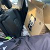 nissan note 2013 CFJ1736576 image 20