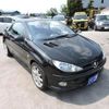 peugeot 206 2007 GOO_JP_700054078630240731002 image 3