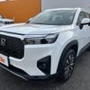 honda honda-others 2024 CFJ1763456 image 10