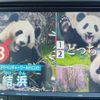 honda vezel 2019 CFJ1538576 image 15