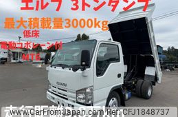 isuzu elf-truck 2009 CFJ1848737