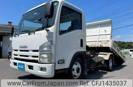 isuzu elf-truck 2010 GOO_NET_EXCHANGE_0700644A30250715W001