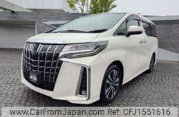 toyota alphard 2019 CFJ1551616