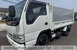 isuzu elf-truck 1994 GOO_NET_EXCHANGE_1000866A30250609W002