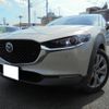 mazda cx-3 2024 CFJ1534286 image 10