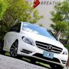 mercedes-benz b-class 2013 -MERCEDES-BENZ--Benz B Class DBA-246242--WDD2462422J145831---MERCEDES-BENZ--Benz B Class DBA-246242--WDD2462422J145831- image 4