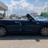 mini mini-others 2017 CFJ1757176 image 12