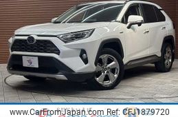 toyota rav4 2019 CFJ1879720