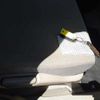 honda n-box 2012 CFJ1461960 image 13