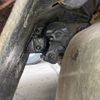 isuzu forward 1996 CFJ1837213 image 16