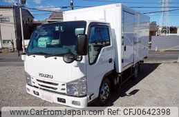 isuzu elf-truck 2019 GOO_NET_EXCHANGE_0550772A30250114W001